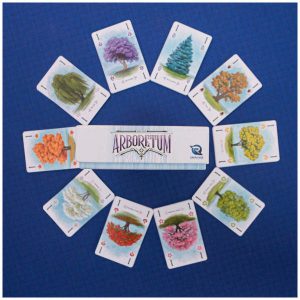 Arboretum Board Game – Buy Arboretum Game | More Than Meeples