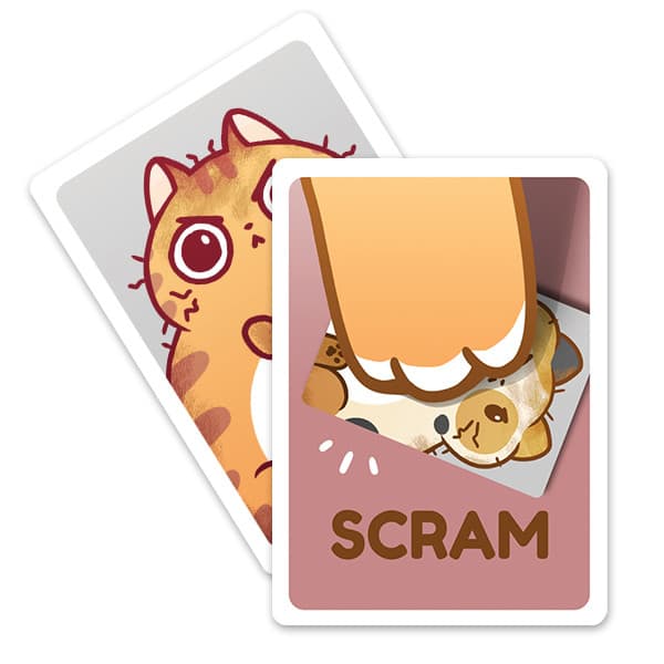 Scram game cards.