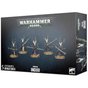 Warhammer 40k Drukhari Incubi
