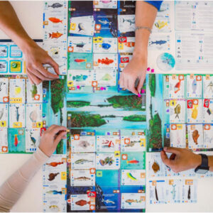 Finspan Board Game