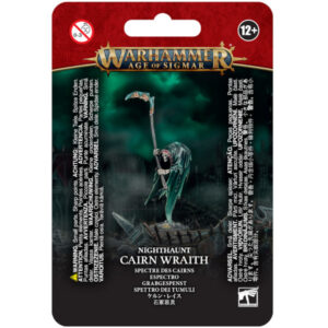 Warhammer Age of Sigmar Nighthaunt Cairn Wraith
