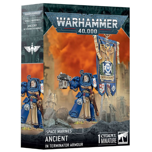 Warhammer 40K Space Marines Ancient in Terminator Armour