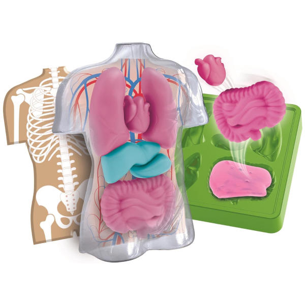 Clementoni Science & Play Squishy Anatomy