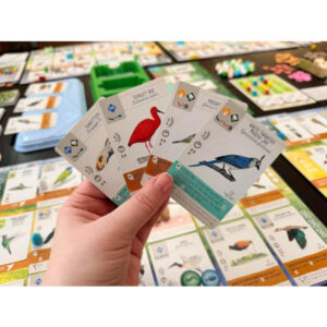 Wingspan Americas Expansion